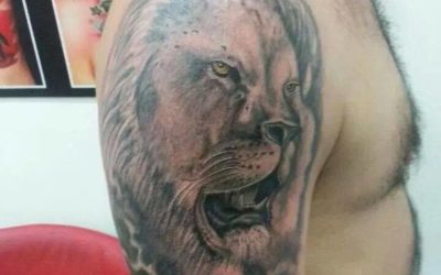 aslan-dovmesi